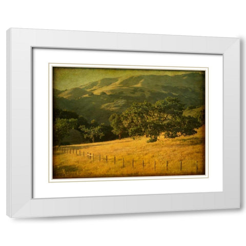 Oak and Fence White Modern Wood Framed Art Print with Double Matting by Guion, William