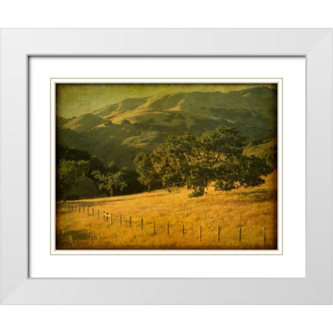 Oak and Fence White Modern Wood Framed Art Print with Double Matting by Guion, William