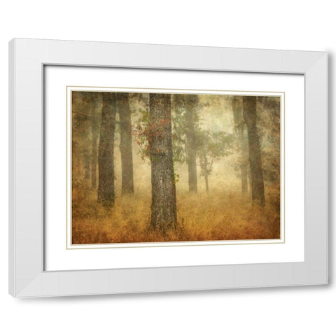 Oak Grove in Fog White Modern Wood Framed Art Print with Double Matting by Guion, William