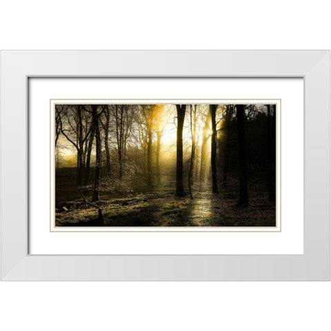Autumn Lights White Modern Wood Framed Art Print with Double Matting by Goncalves, Adelino