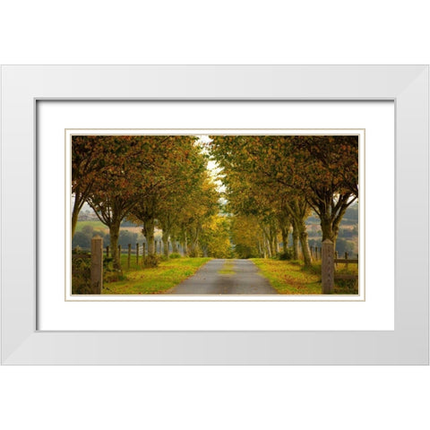 Colors of Autumn White Modern Wood Framed Art Print with Double Matting by Goncalves, Adelino