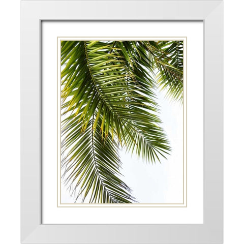 Palm Leaves White Modern Wood Framed Art Print with Double Matting by Greer, Lexie