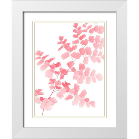 Pink Maidenhair White Modern Wood Framed Art Print with Double Matting by Greer, Lexie
