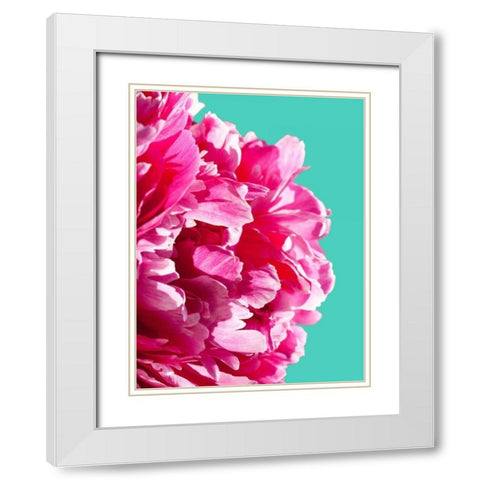 Pink Peony White Modern Wood Framed Art Print with Double Matting by Greer, Lexie