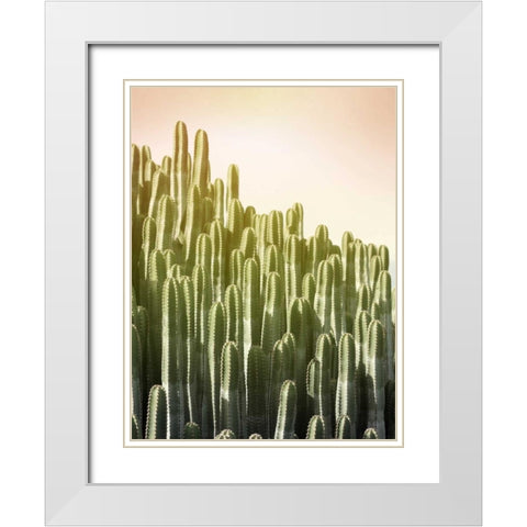 Pink Sky Cactus White Modern Wood Framed Art Print with Double Matting by Greer, Lexie