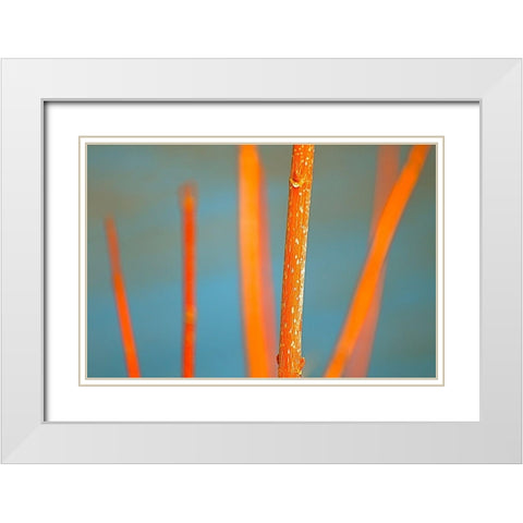 Along the River No. 5 White Modern Wood Framed Art Print with Double Matting by Gonzalez, Ulpi