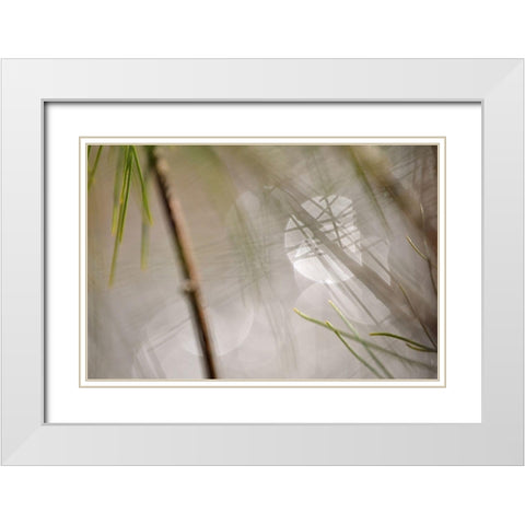 Abstract by the River White Modern Wood Framed Art Print with Double Matting by Gonzalez, Ulpi