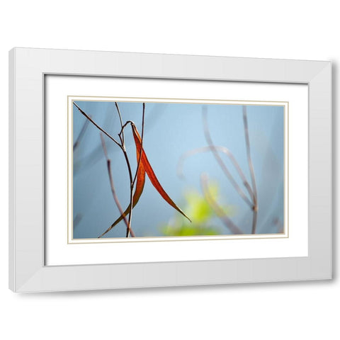 Red and Green by the River White Modern Wood Framed Art Print with Double Matting by Gonzalez, Ulpi