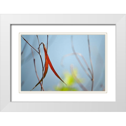 Red and Green by the River White Modern Wood Framed Art Print with Double Matting by Gonzalez, Ulpi