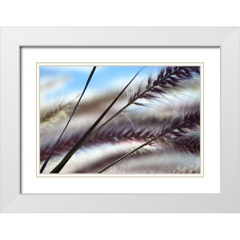 Grasses No. 8 White Modern Wood Framed Art Print with Double Matting by Gonzalez, Ulpi