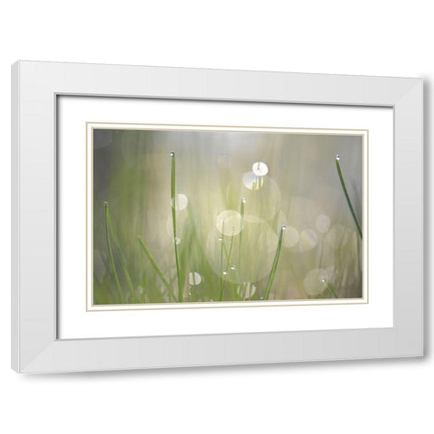 Morning Light No. 3 White Modern Wood Framed Art Print with Double Matting by Gonzalez, Ulpi