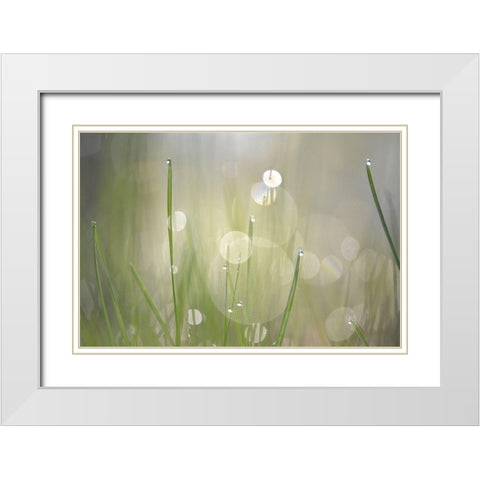 Morning Light No. 3 White Modern Wood Framed Art Print with Double Matting by Gonzalez, Ulpi