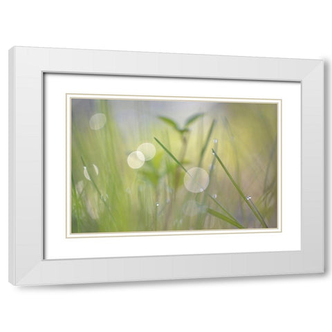 Morning Light No. 1 White Modern Wood Framed Art Print with Double Matting by Gonzalez, Ulpi