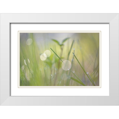 Morning Light No. 1 White Modern Wood Framed Art Print with Double Matting by Gonzalez, Ulpi
