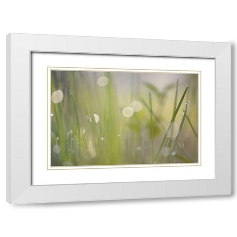 Morning Light No. 2 White Modern Wood Framed Art Print with Double Matting by Gonzalez, Ulpi