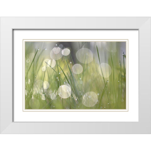 Morning Light No. 4 White Modern Wood Framed Art Print with Double Matting by Gonzalez, Ulpi