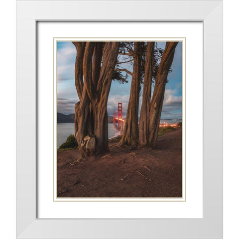 Between the Trees White Modern Wood Framed Art Print with Double Matting by Getty, Bruce