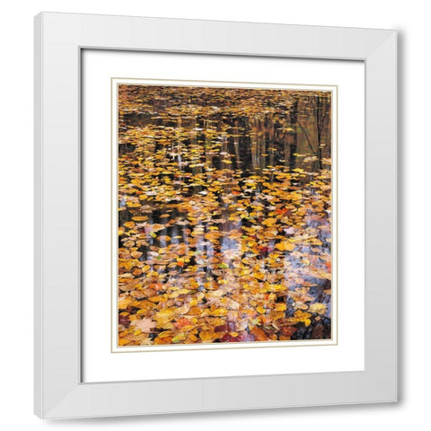 Autumn Detail White Modern Wood Framed Art Print with Double Matting by Gavrilis, John