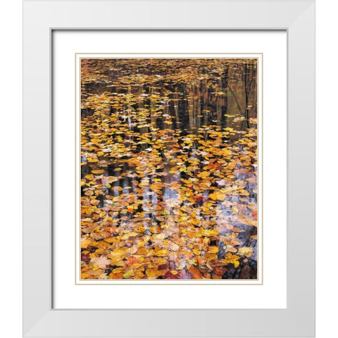 Autumn Detail White Modern Wood Framed Art Print with Double Matting by Gavrilis, John