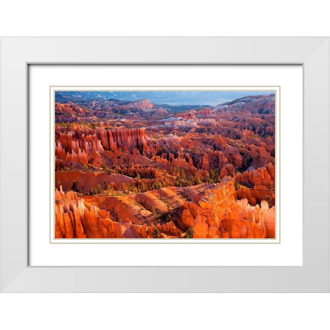 Morning Light White Modern Wood Framed Art Print with Double Matting by Gavrilis, John