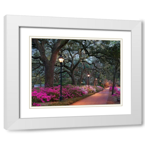 Forsythe Park White Modern Wood Framed Art Print with Double Matting by Hiers, Winthrope