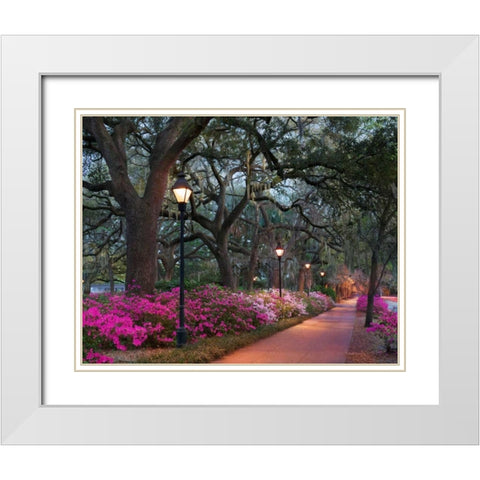 Forsythe Park White Modern Wood Framed Art Print with Double Matting by Hiers, Winthrope