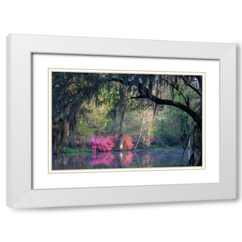 Morning Serenity White Modern Wood Framed Art Print with Double Matting by Herrera, H.J.