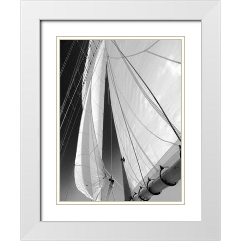 Sailboat Sails Florida White Modern Wood Framed Art Print with Double Matting by Hiers, Winthrope