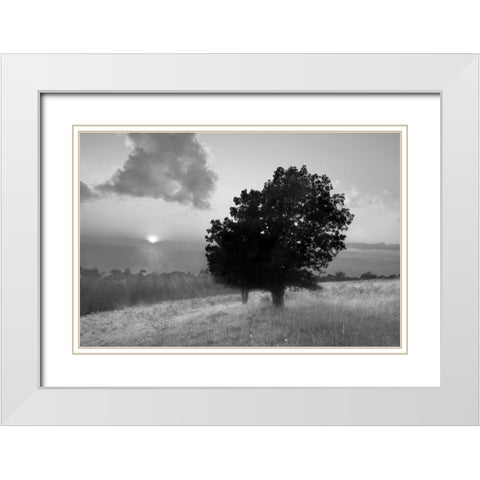 Spitler Knoll Overlook White Modern Wood Framed Art Print with Double Matting by Hiers, Winthrope