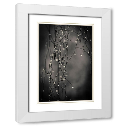 Bare Branches 2017 White Modern Wood Framed Art Print with Double Matting by Horsfall, Gary