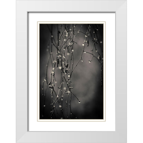 Bare Branches 2017 White Modern Wood Framed Art Print with Double Matting by Horsfall, Gary