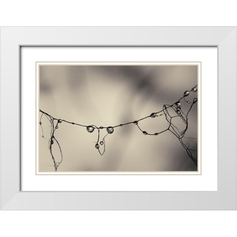 Moss 2017 White Modern Wood Framed Art Print with Double Matting by Horsfall, Gary