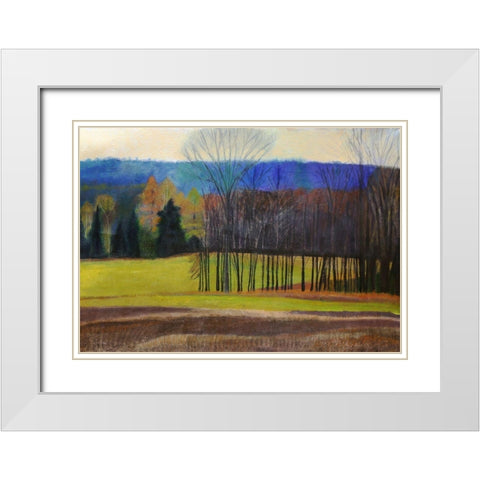 Charlevoix County White Modern Wood Framed Art Print with Double Matting by Hendrick, Cathe