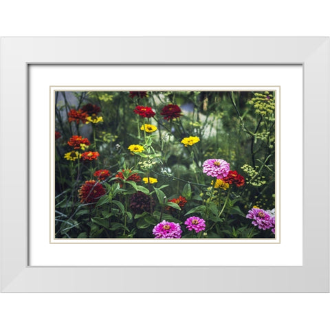Secret Gardens White Modern Wood Framed Art Print with Double Matting by Henriksen, Jennifer