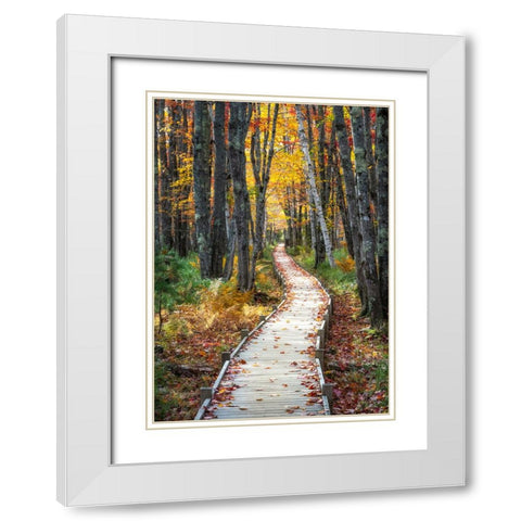 Autumn Boardwalk I White Modern Wood Framed Art Print with Double Matting by Head, Danny