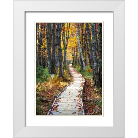 Autumn Boardwalk I White Modern Wood Framed Art Print with Double Matting by Head, Danny