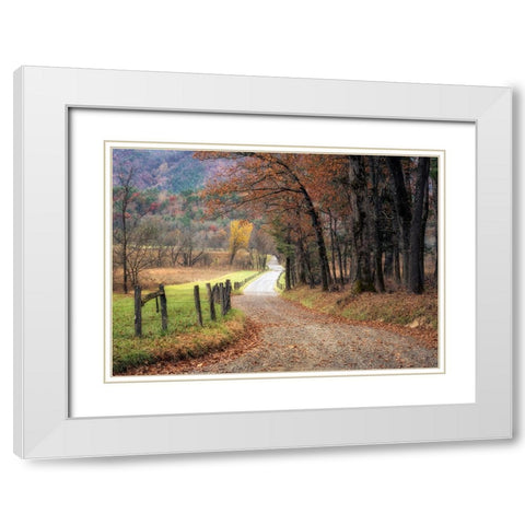 Autumn Drive I White Modern Wood Framed Art Print with Double Matting by Head, Danny
