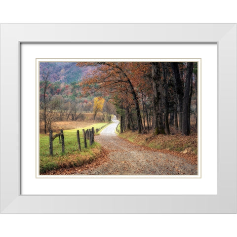 Autumn Drive I White Modern Wood Framed Art Print with Double Matting by Head, Danny
