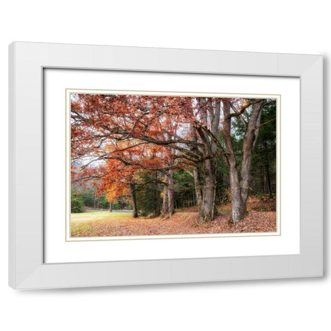 Autumn Drive II White Modern Wood Framed Art Print with Double Matting by Head, Danny