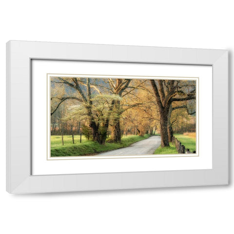 Dogwoods White Modern Wood Framed Art Print with Double Matting by Head, Danny
