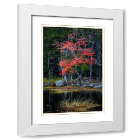 Red Reflections I White Modern Wood Framed Art Print with Double Matting by Head, Danny