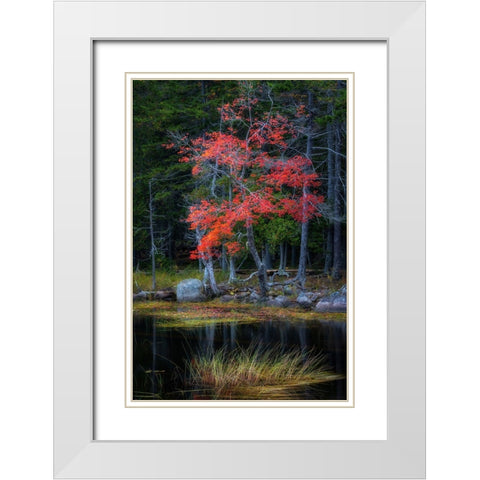 Red Reflections I White Modern Wood Framed Art Print with Double Matting by Head, Danny