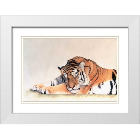 Sleeping Tiger White Modern Wood Framed Art Print with Double Matting by Henderson, Jan