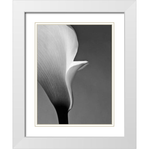 Calla No. 5 White Modern Wood Framed Art Print with Double Matting by PhotoINC Studio