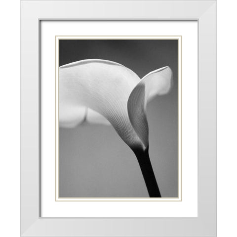 Calla No. 6 White Modern Wood Framed Art Print with Double Matting by PhotoINC Studio