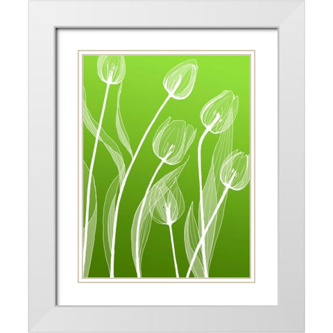 IN246_4 White Modern Wood Framed Art Print with Double Matting by GraphINC Studio