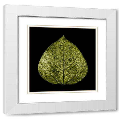 Green Leaf White Modern Wood Framed Art Print with Double Matting by PhotoINC Studio