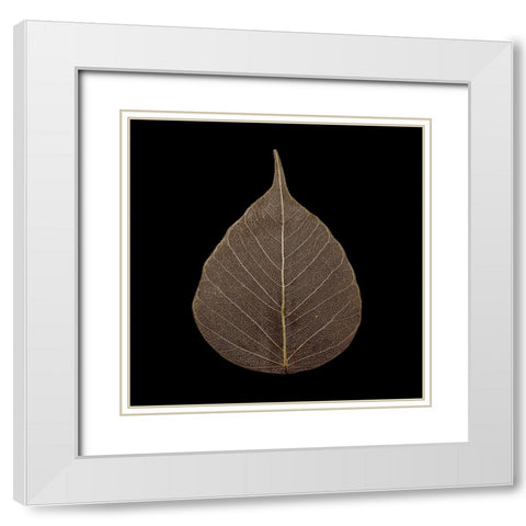 Brown Leaf White Modern Wood Framed Art Print with Double Matting by PhotoINC Studio