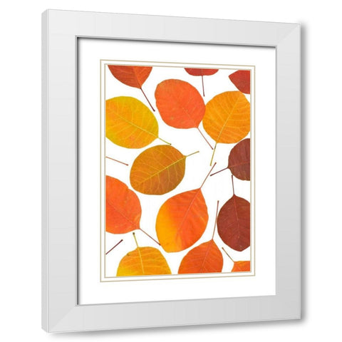 Brown Leaves White Modern Wood Framed Art Print with Double Matting by PhotoINC Studio