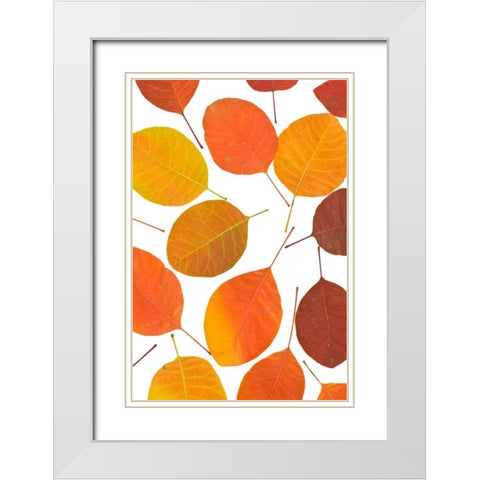 Brown Leaves White Modern Wood Framed Art Print with Double Matting by PhotoINC Studio